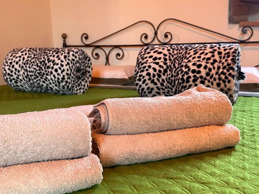 קולה ואל ד'אלזה Relax Nella Jacuzzi In Toscana מראה חיצוני תמונה